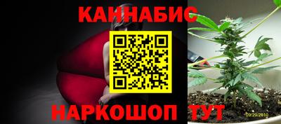 спиды Моздок