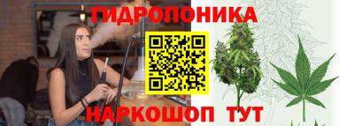 спиды Моздок