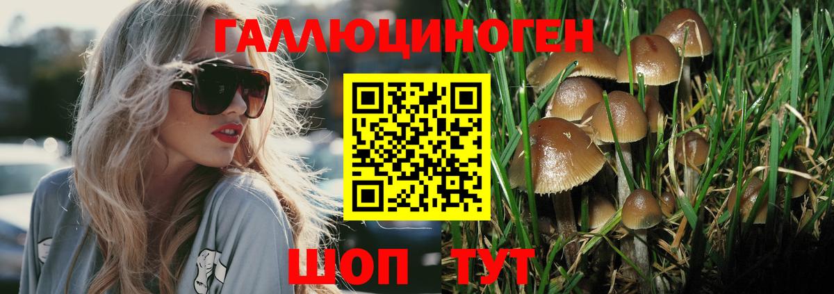 Галлюциногенные грибы Magic Shrooms  Вход с VPN  Усолье-Сибирское 